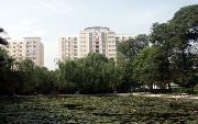 西南民族大學(xué)咋樣