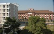 中南林業(yè)科技大學(xué)涉外學(xué)院三本最低投檔分499
