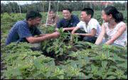 東北農業(yè)大學2014年分數線