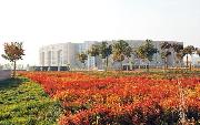 內(nèi)蒙古大學(xué)評分