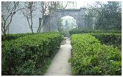 貴州大學(xué)評分