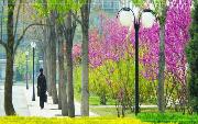 北京工業(yè)大學(xué)咋樣