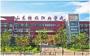 山東傳媒職業(yè)學院咋樣