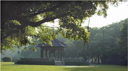 中山大學(xué)校園圖片_大學(xué)圖片4