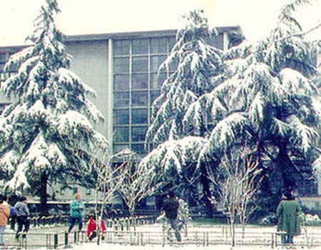 河海大學(xué)校園圖片_校園風(fēng)光4