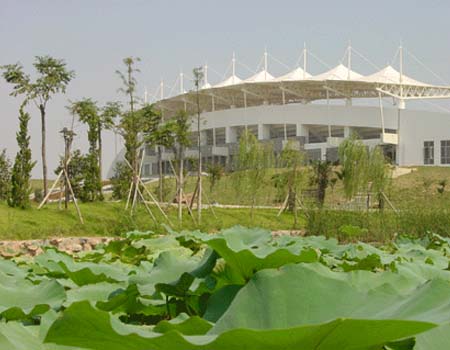 河海大學(xué)校園圖片_校園風(fēng)光6