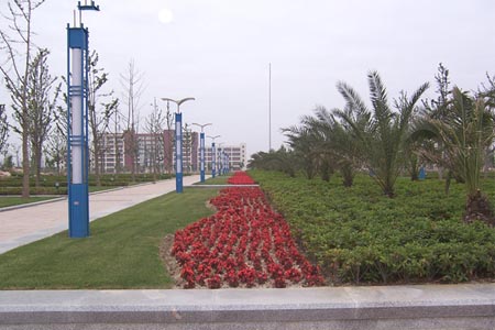 華東理工大學校園圖片_大學圖片4
