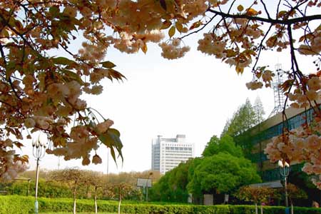 南京郵電大學(xué)校園圖片_校園圖片3