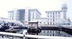 南京信息工程大學(xué)有哪些一本理科專業(yè)？