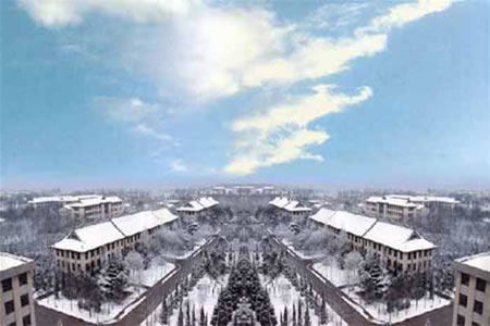 南京林業(yè)大學校園圖片_校園圖片3