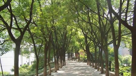 江蘇大學(xué)校園圖片_校園圖片7