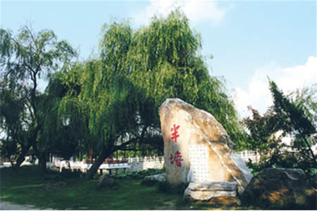 揚(yáng)州大學(xué)校園圖片_校園圖片3