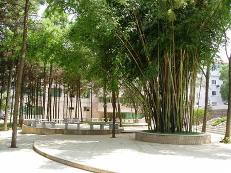 江西財(cái)經(jīng)大學(xué)校園圖片_校園圖片5