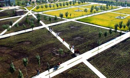 沈陽(yáng)建筑大學(xué)校園圖片_校園圖片3
