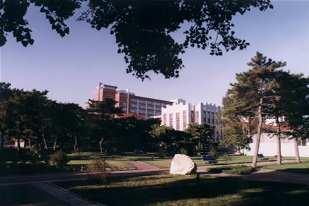 沈陽(yáng)藥科大學(xué)校園圖片_校園圖片5