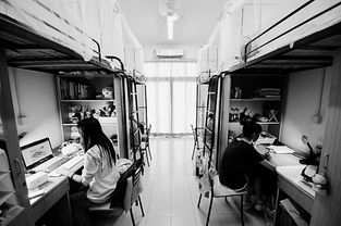 浙江理工大學(xué)宿舍圖片_寢室圖片13