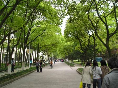 上海師范大學(xué)校園圖片_大學(xué)圖片3
