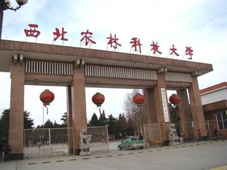 西北農(nóng)林科技大學(xué)校園圖片_校園圖片3