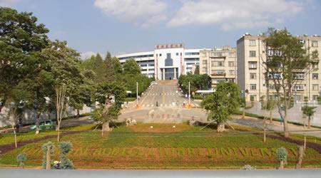 云南農(nóng)業(yè)大學校園圖片_大學圖片7
