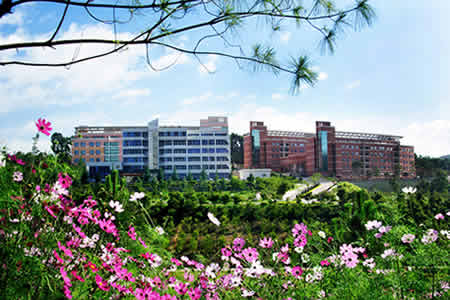 玉溪師范學(xué)院校園圖片_大學(xué)圖片5