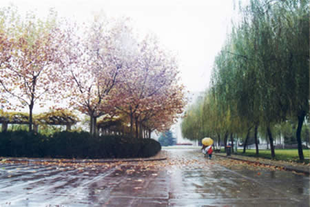 西安石油大學(xué)校園圖片_校園圖片3