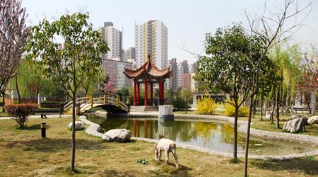 陜西中醫(yī)學院校園圖片_校園圖片5