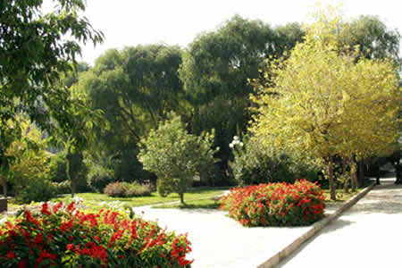 青海師范大學(xué)校園圖片_校園圖片4