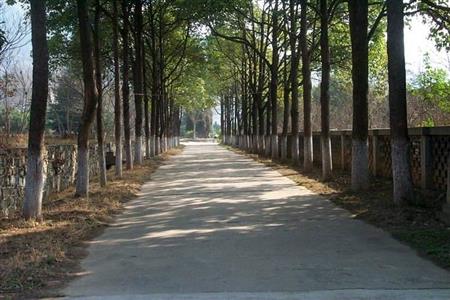 陜西理工學(xué)院校園圖片_校園圖片4