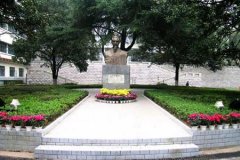湖南中醫(yī)藥大學(xué)有哪些一本理科專業(yè)？