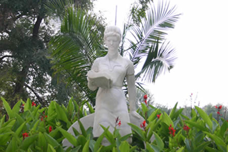 東北林業(yè)大學(xué)校園圖片_校園圖片3
