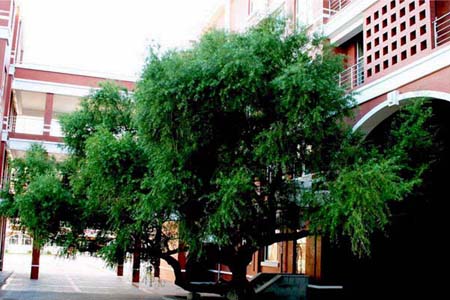 齊齊哈爾大學(xué)校園圖片_校園圖片8