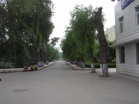 黑龍江中醫(yī)藥大學(xué)校園圖片_校園圖片4
