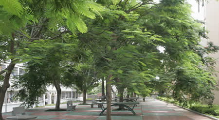 集美大學校園圖片_大學圖片4