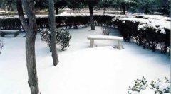 鄭州航空工業(yè)管理學院有哪些二本文科專業(yè)？