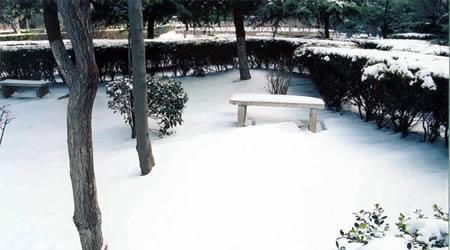 河南二本分?jǐn)?shù)線較高的大學(xué)排名Top20[省內(nèi)]