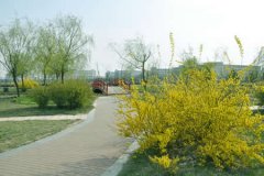 臨沂大學(xué)有哪些二本理科專業(yè)？