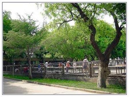 甘肅政法學院校園圖片_大學圖片2