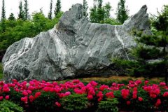 山東科技大學(xué)有哪些一本理科專業(yè)？