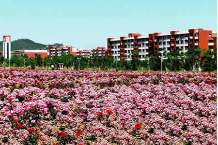 山東科技大學校園圖片_大學圖片5