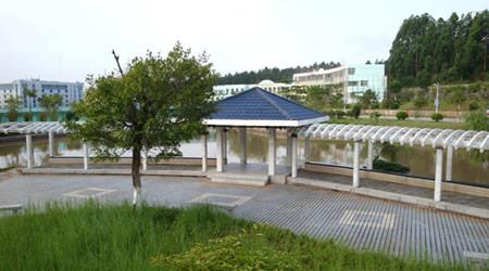 玉林師范學(xué)院校園圖片_大學(xué)圖片4