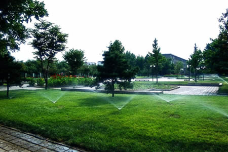 山東農(nóng)業(yè)大學(xué)校園圖片_大學(xué)圖片12