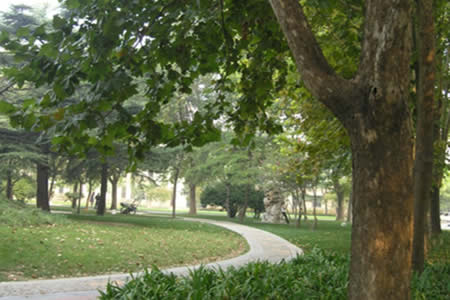 山東農(nóng)業(yè)大學校園圖片_大學圖片2