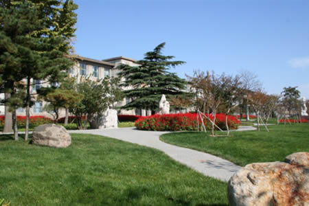 山東農(nóng)業(yè)大學(xué)校園圖片_大學(xué)圖片8