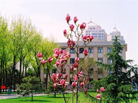 中國農(nóng)業(yè)大學校園圖片_大學圖片3