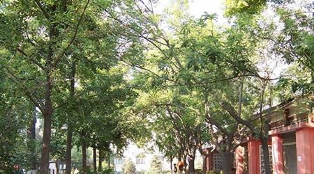 中國政法大學(xué)校園圖片_大學(xué)圖片7