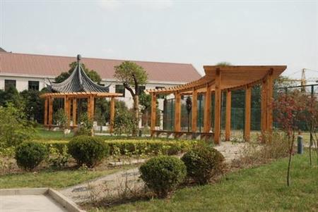 上海建峰職業(yè)技術學院有哪些理科專業(yè)？