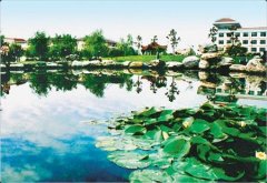西安思源學(xué)院有哪些二本文科專業(yè)？