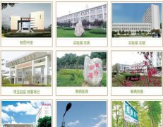 山西中醫(yī)學(xué)院有哪些二本理科專業(yè)？