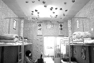 湖北交通職業(yè)技術(shù)學(xué)院宿舍圖片_寢室圖片14