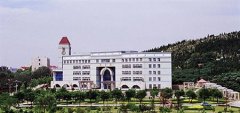 山東政法學(xué)院有哪些二本理科專業(yè)？